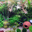 @yenting5402 Avatar