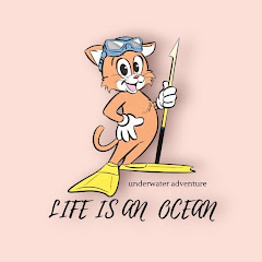 life_is_an_ocean ___JINJIN  