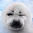 @TEP923 Avatar