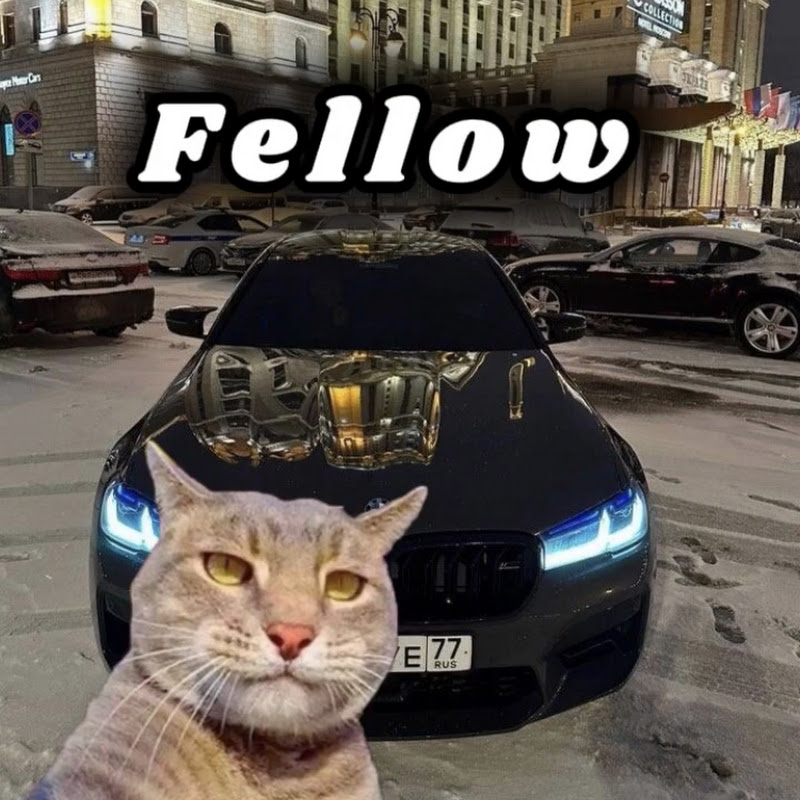 fellow