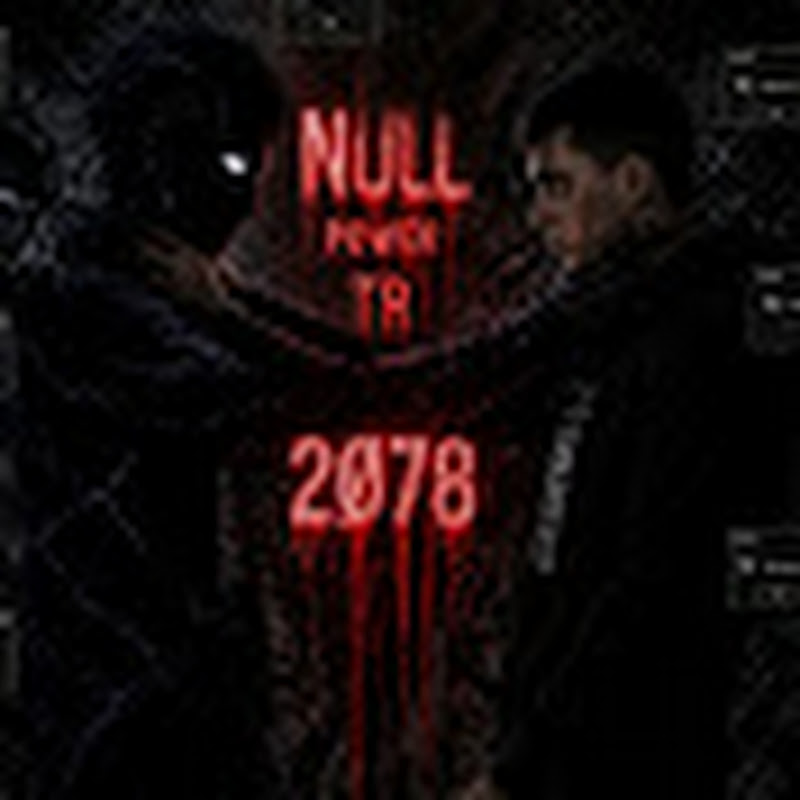 NULL POWER TR2∅78