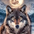 pR0CuG7PGUk-channel-avatar-Astro Wolf 
