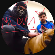 TheCatWizard 🐱