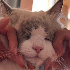 なすようこアイコン画像