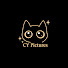 wSn7zxwZMtw-channel-avatar-CY Pictures