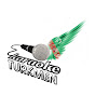 Turkmen karaoke logo