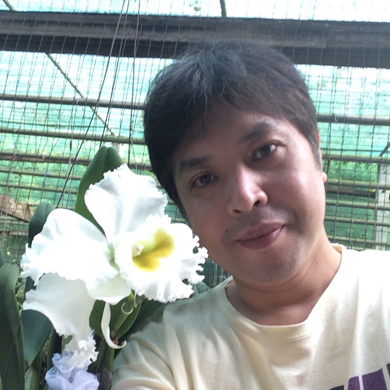 Shochannel TVのサムネイル