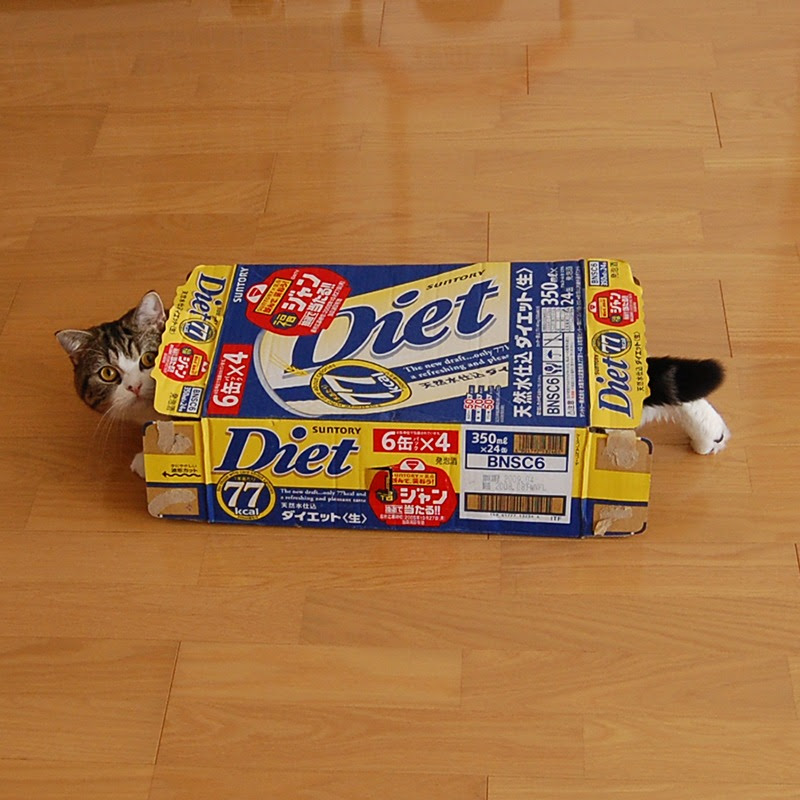 I am Maru.