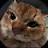 @NorhanHamed-rh5zp