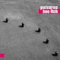 Pulsarus - หัวข้อ
