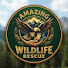 Ixr52a4NPKA-channel-avatar-Amazing Wildlife Rescue 