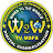 W2W TV MSFS