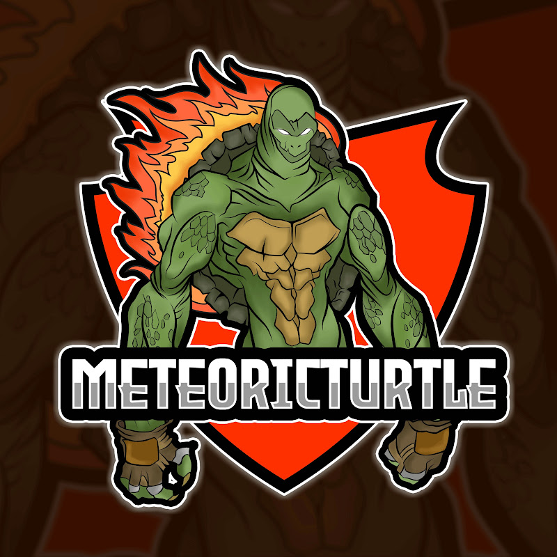 MeteoricTurtle