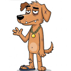 Cachorro Caramelo Explica