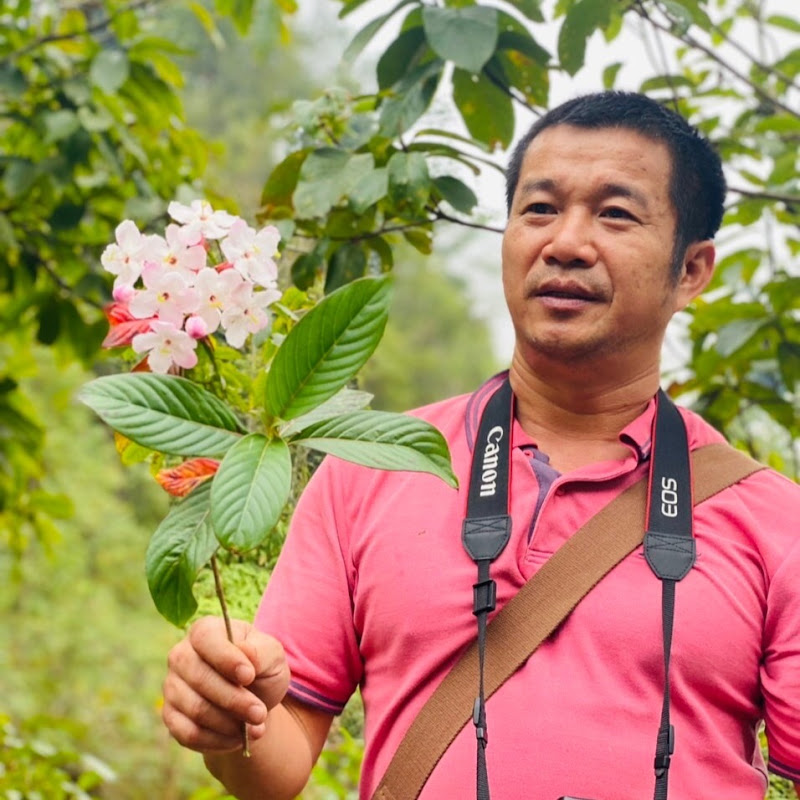 Tiến sĩ Phương Dược Liệu