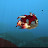 @Crashfish-23hm5 Avatar