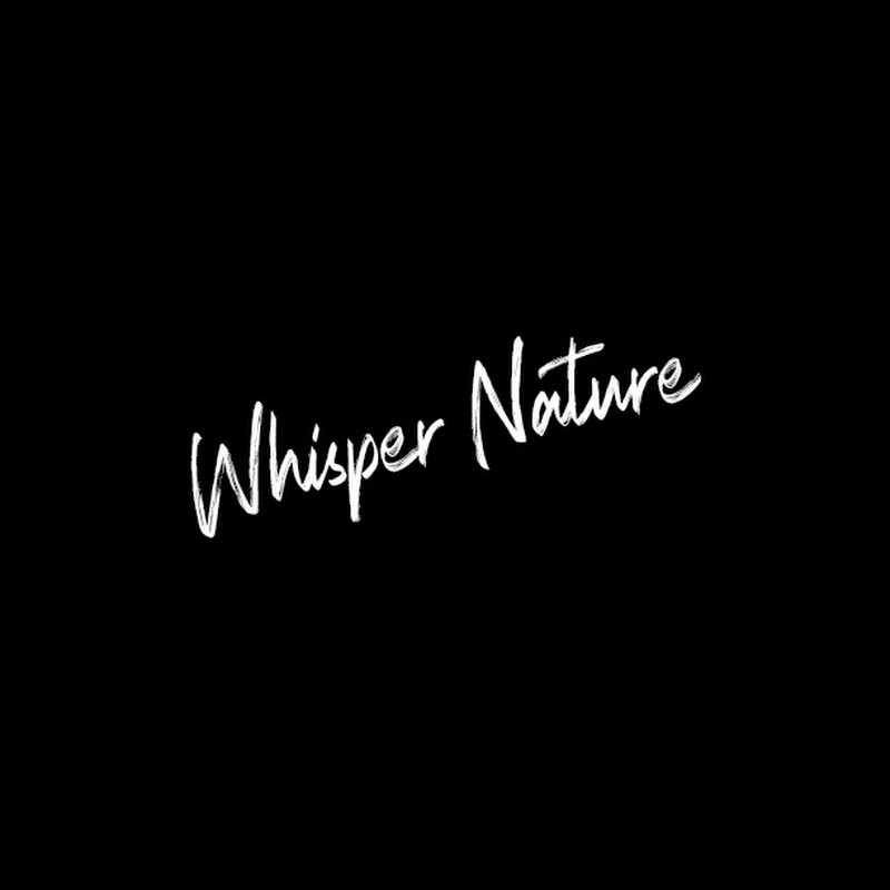 Whisper Nature Black
