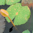 602KaAfTcZs-channel-avatar-StarryLedger