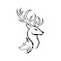 GDcYl6hfMx0-channel-avatar-Country Sports Channel