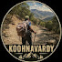 UgaOW8GXJBE-channel-avatar-KOOHNAVARDY