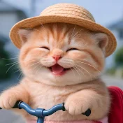 Angel Kitten Pico(ピコ)