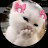 @زرا-ح7ت