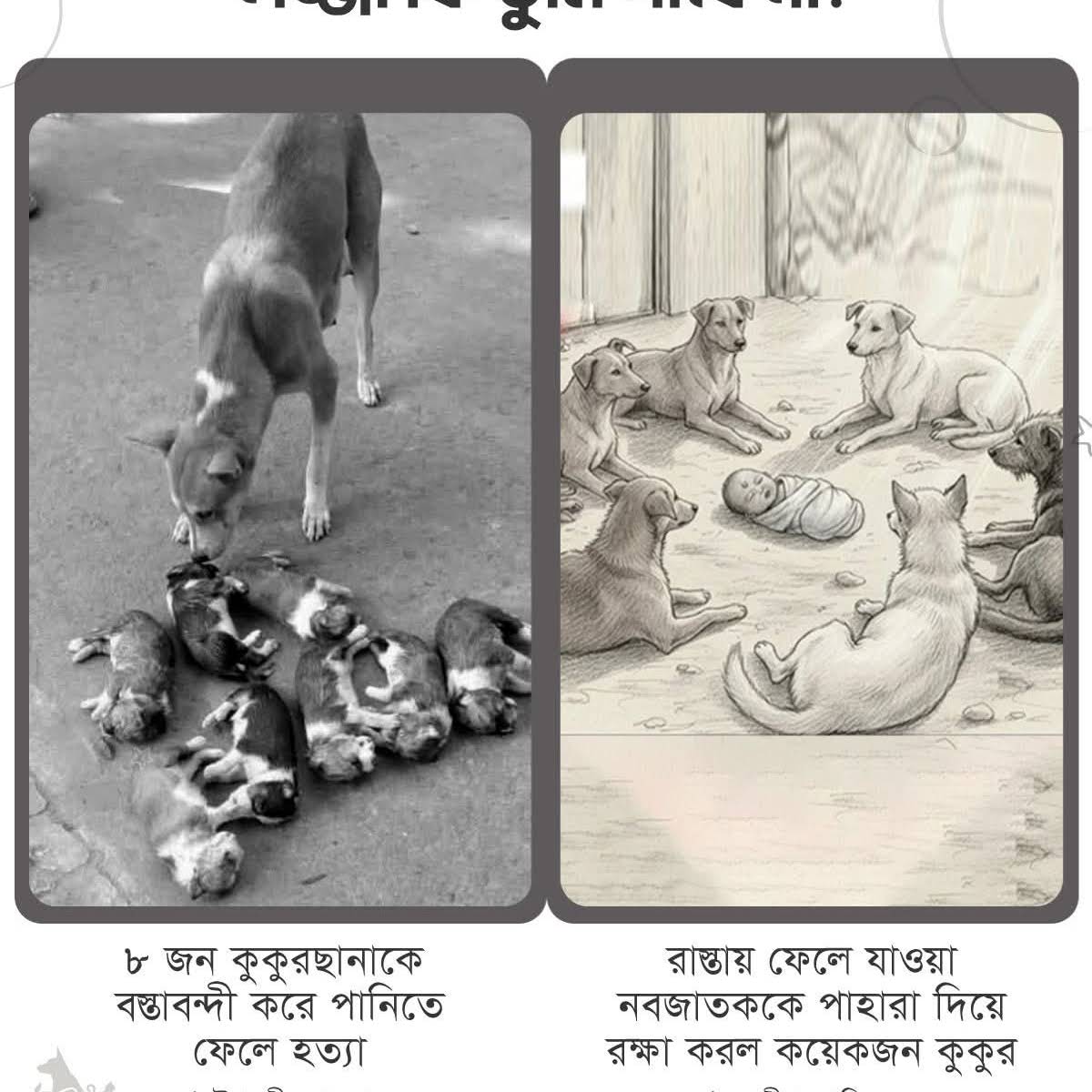 Post from SA SABBIR