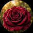 SDvox6_oRQk-channel-avatar-Beyond Watchtower with Rose