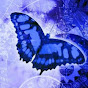 Butterfly Indigo Music for Videos logo