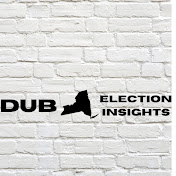 DubNY Election Insights