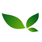Life Integrative Medicine logo