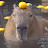 @Mr._Capybara