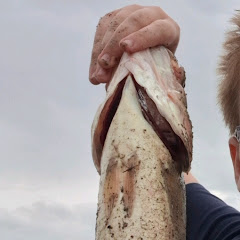 TheFishWranglers
