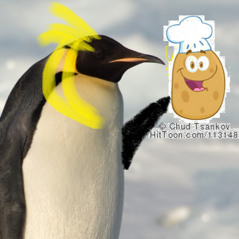 League of Penguins Ch.