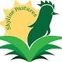 Skyline Pastures  logo