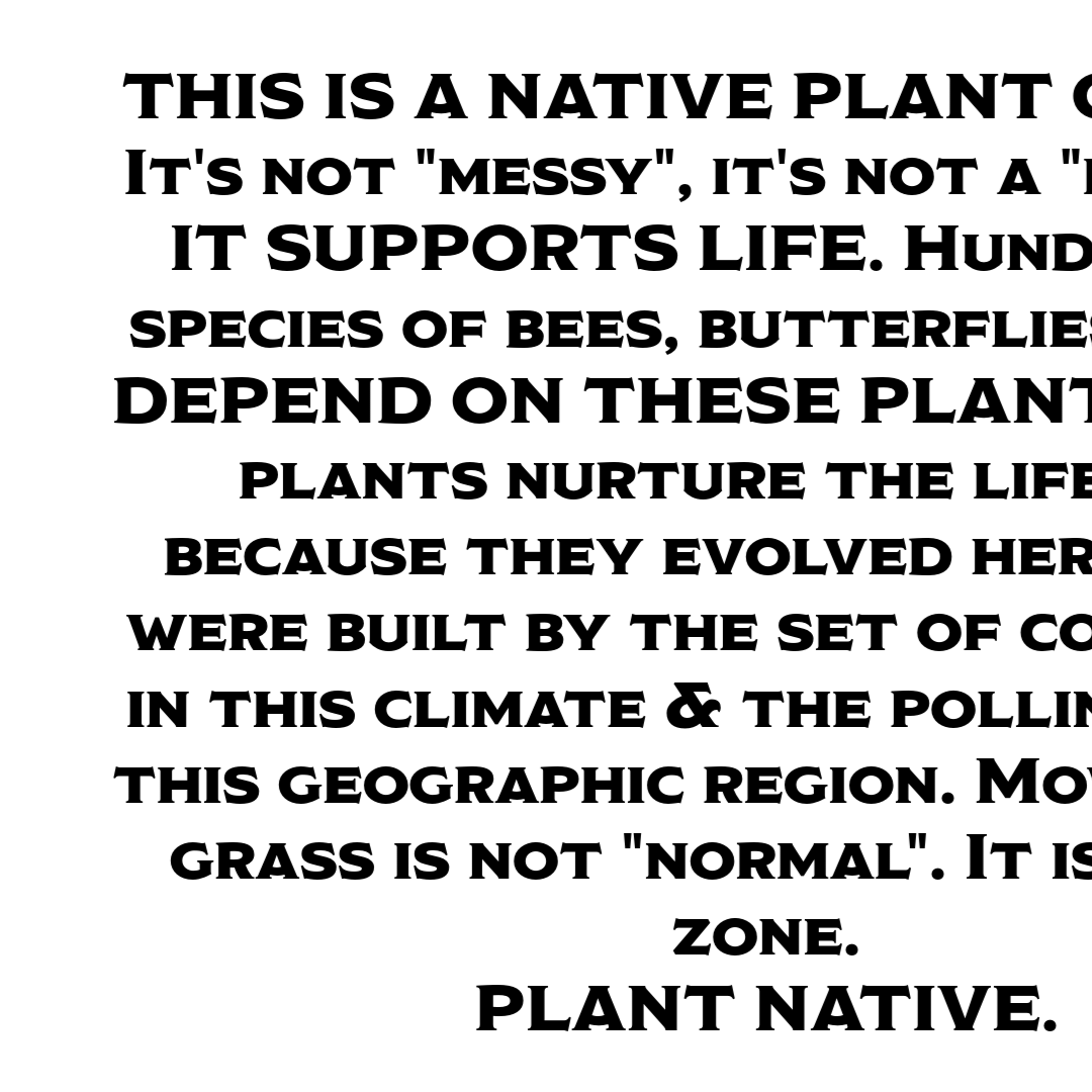Post from Crime Pays But Botany Doesn't