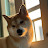 @My_gong