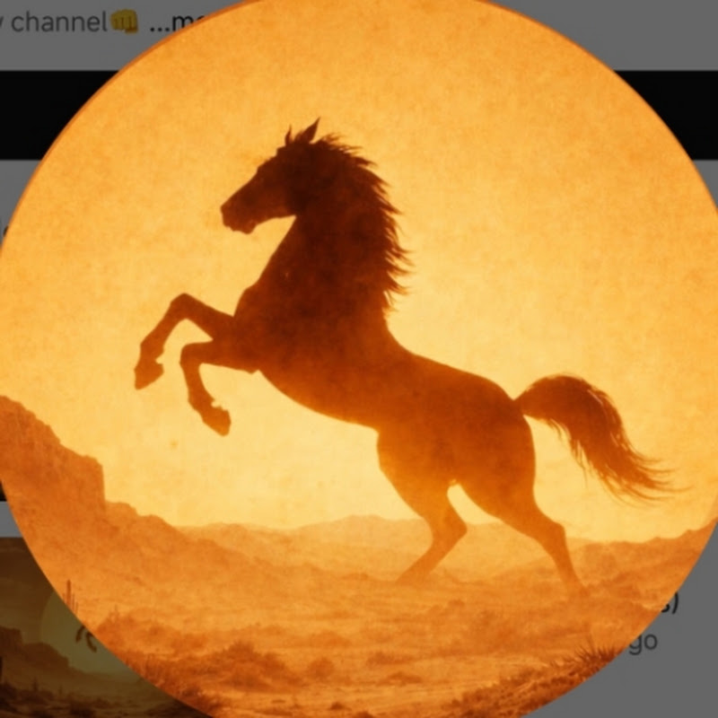 The Sunshine Blomst  channel avatar