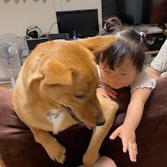 Shaku Jittokuアイコン画像