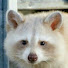 zWE5QS8I_hQ-channel-avatar-Beiged