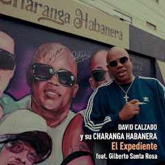 David Calzado - Topic