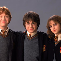 A Big Fan of the HARRY POTTER Movies