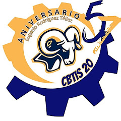 cbtis 20