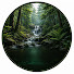XNOSn-CZUu8-channel-avatar-Rainy Wildscape