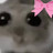 @sad_hamster27