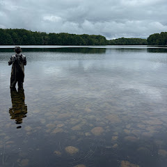 forestnfishing