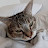@robynpelovski2108 Avatar