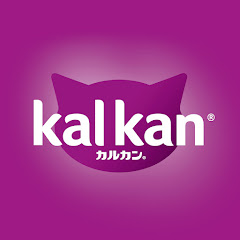 カルカン公式チャンネルアイコン画像