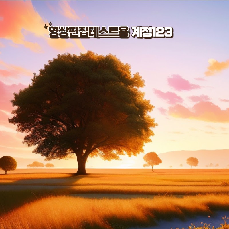 영상테스트용 계정123
