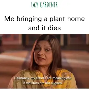 Lazy Gardener YouTube channel